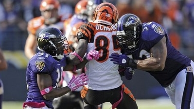 Ray Lewis Fined $25,000 for Hit on Chad Ochocinco