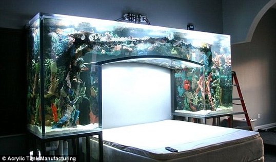 Chad Ochocinco's Bedroom, Living Room Feature Crazy Fish Tanks, Which Fiancee Can't Take Eyes Off (Photos)