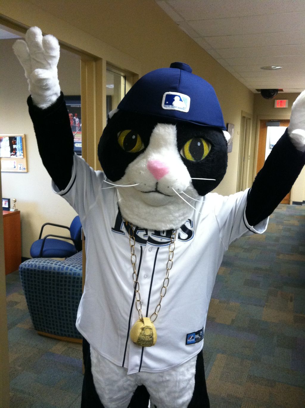 Rays to Debut 'DJ Kitty' as Team's Newest Mascot (Photo)
