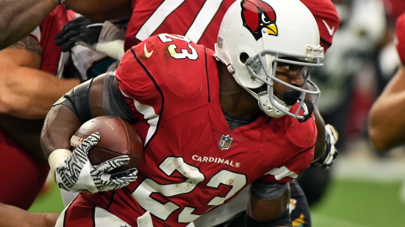 cardinals adrian peterson jersey