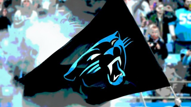 Carolina Panthers flag