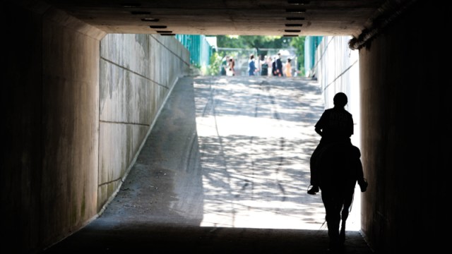 A horse and rider at the Belmont Stakes