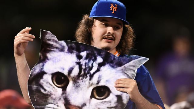 New York Mets fan