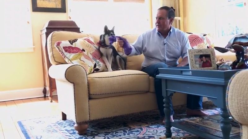 Bill Belichick Shows Off Softer Side When Hanging With His Dog 'Nike