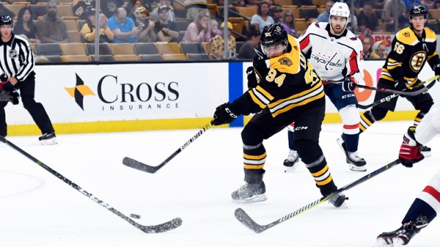 Boston Bruins Forward Jakub Lauko
