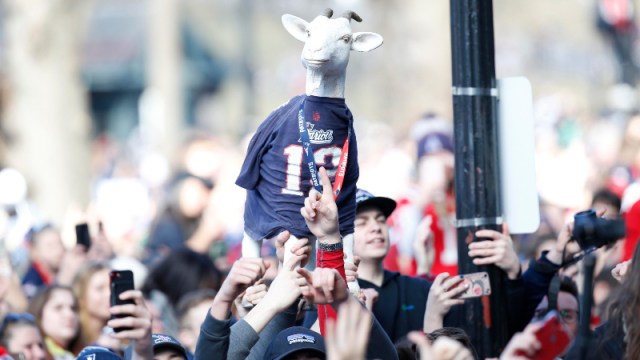 New England Patriots fans hold up a goat