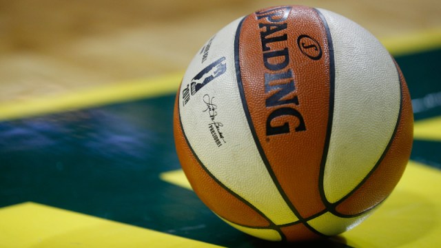 The WNBA logo on a ball