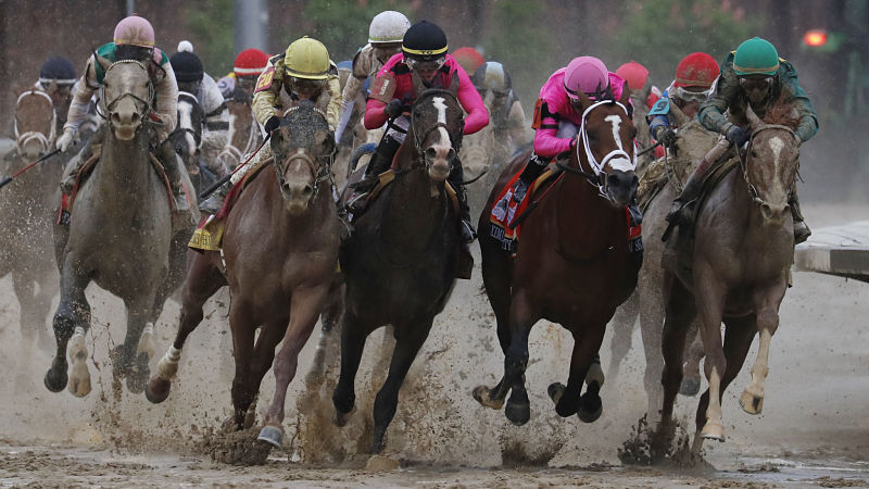 Preakness stakes lineup