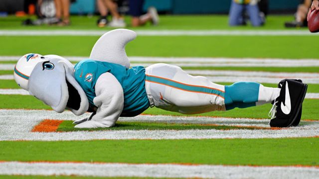 Miami Dolphins mascot