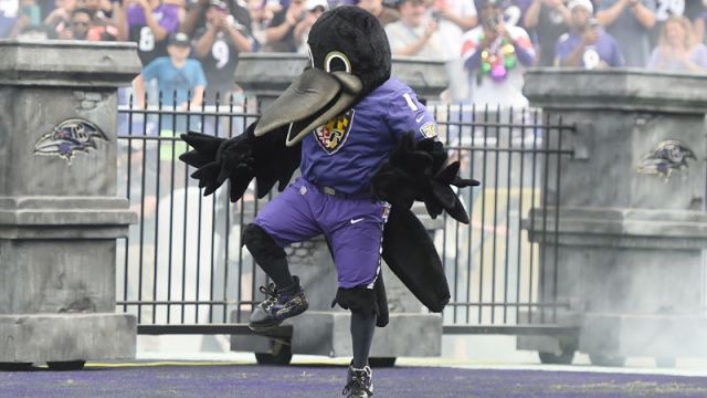Baltimore Ravens mascot