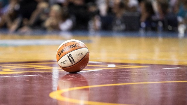 General view of a WNBA basketball