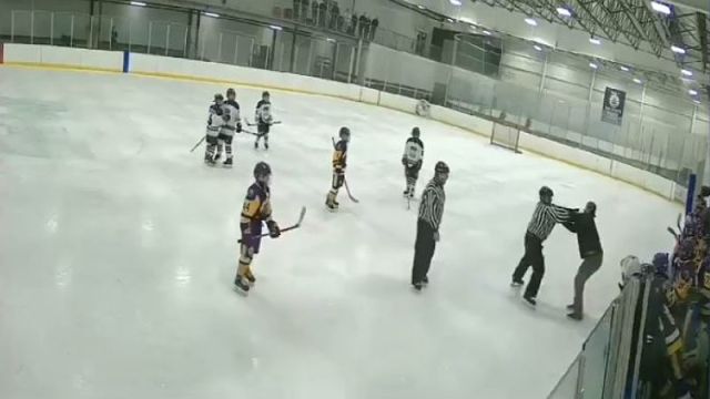 Hockey fight