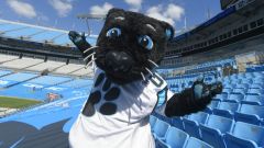 Carolina Panthers mascot Sir Purr