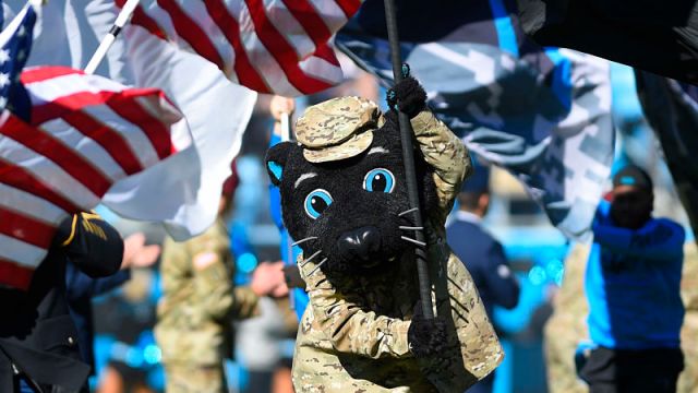 Carolina Panthers mascot