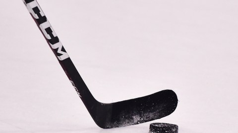 General view of a hockey stick