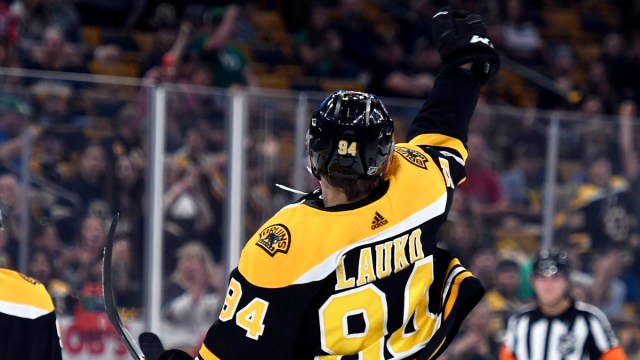 Boston Bruins forward prospect Jakub Lauko