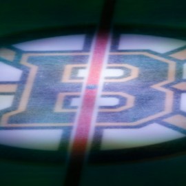 Boston Bruins logo