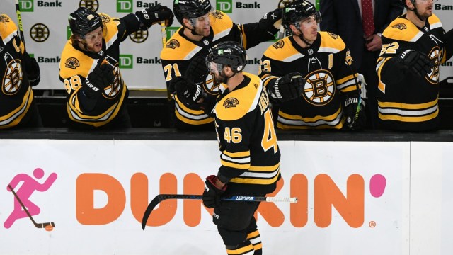 Boston Bruins Forward David Krejci