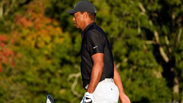 Pro golfer Tiger Woods
