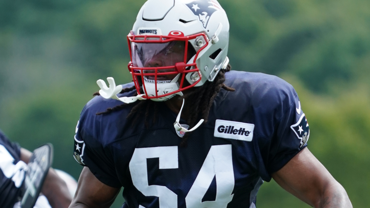 Dont'a Hightower aptly sums up state of Patriots defense