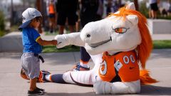 Denver Broncos mascot