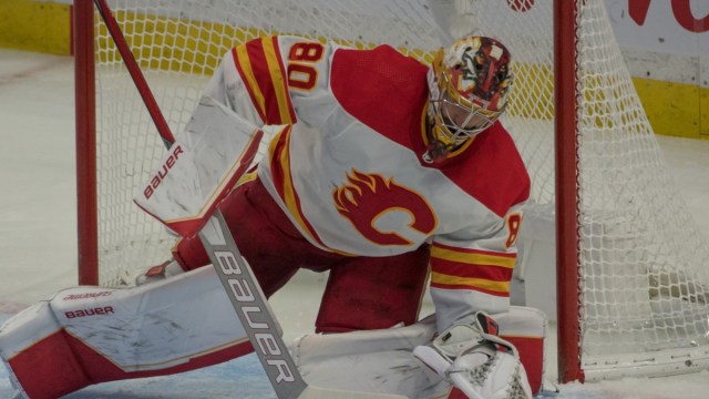 Calgary Flames goalie Dan Vladar