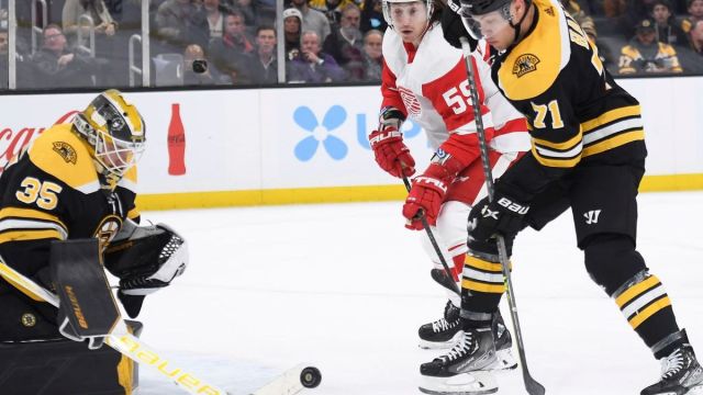 Boston Bruins goalie Linus Ullmark, Red Wings' Tyler Bertuzzi