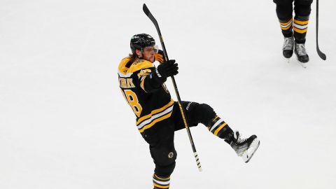 Boston Bruins wing David Pastrnak