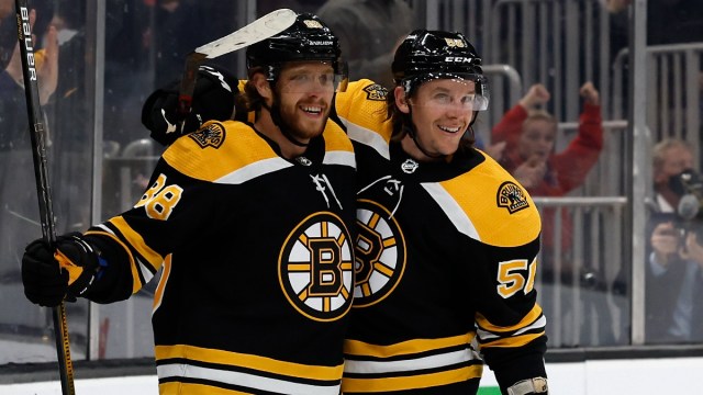 Boston Bruins forwards David Pastrnak and Erik Haula