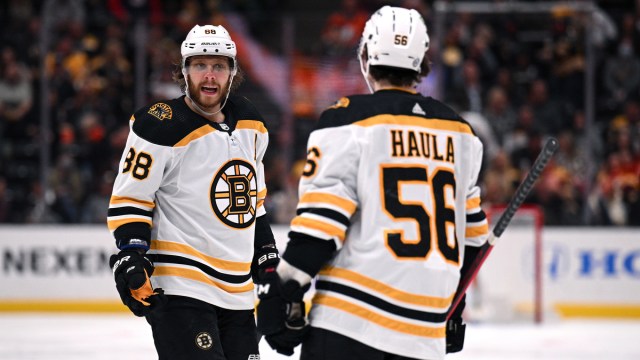 Boston Bruins forwards David Pastrnak, Erik Haula