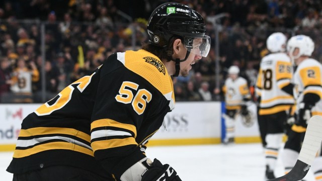 Boston Bruins forward Erik Haula