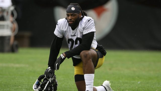 NFL: Pittsburgh Steelers OTA