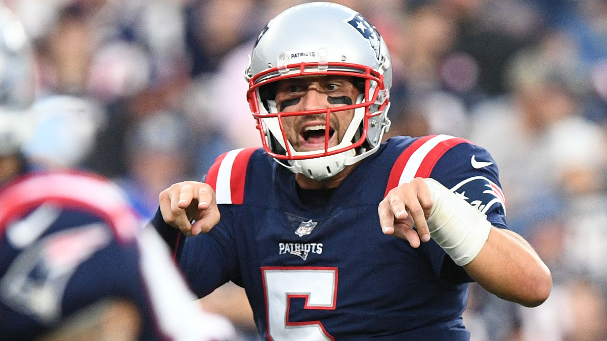 Can Brian Hoyer's Patriots teammates name all 7 NFL teams he's