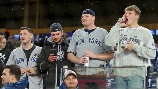 New York Yankees fans