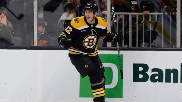 Boston Bruins forward Tomas Nosek