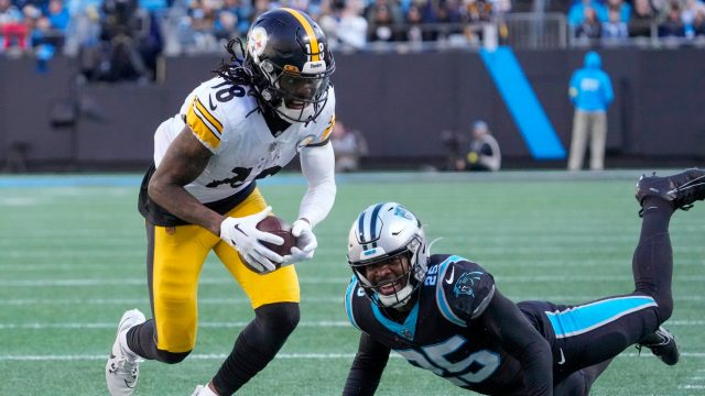 NFL: Pittsburgh Steelers at Carolina Panthers