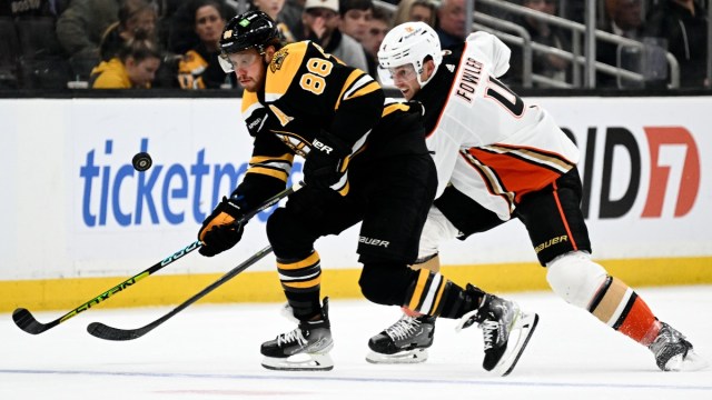 Boston Bruins wing David Pastrnak and Anaheim Ducks defenseman Cam Fowler