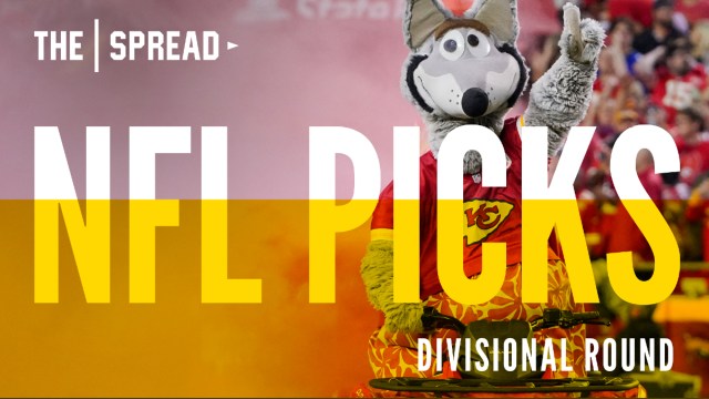 NFL Divisional Round Picks