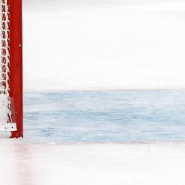 Hockey net and puck