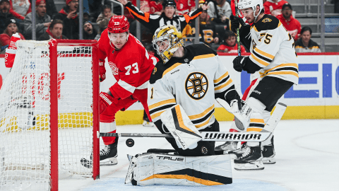 Boston Bruins goalie Jeremy Swayman and Detroit Red Wings forward Adam Erne