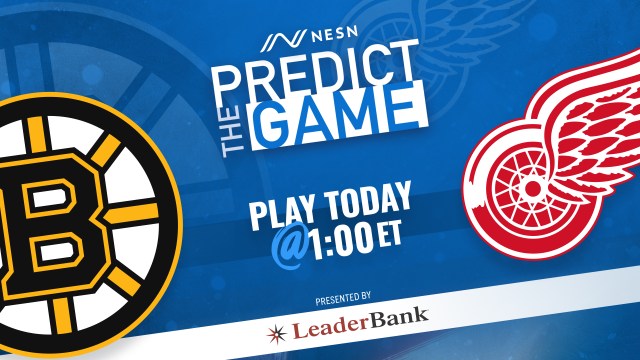 Boston Bruins, Detroit Red Wings Predict the Game