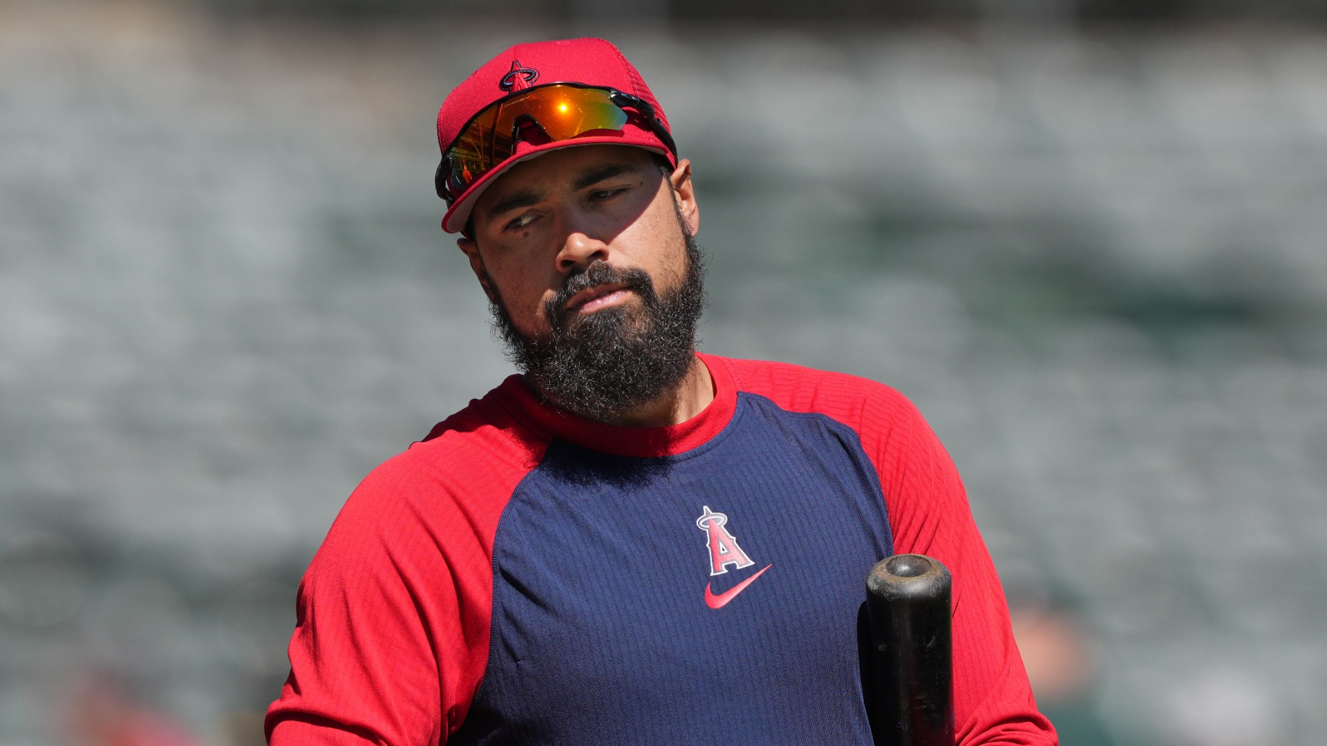 Angels' Anthony Rendon caught on video grabbing fan's shirt - Los