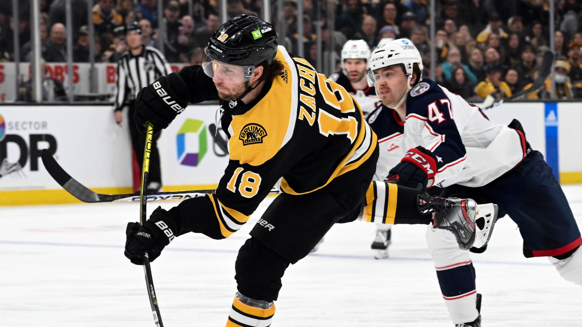The Bruins' Pavel Zacha, an NHL dream and a parenting experiment