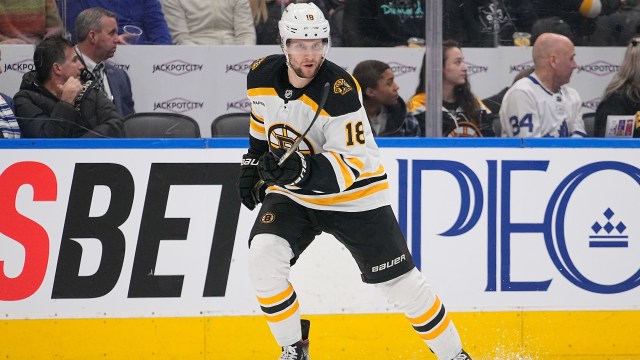 Boston Bruins forward Pavel Zacha