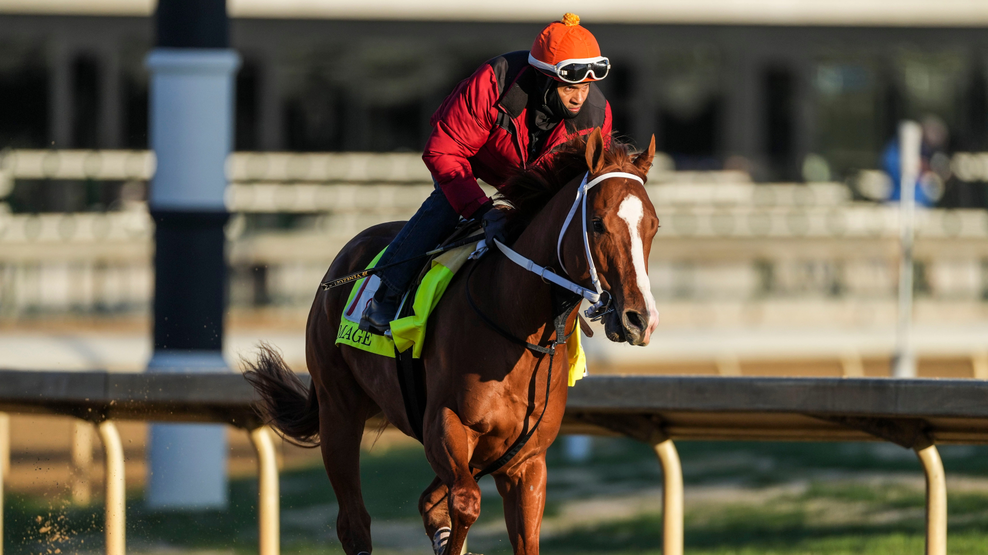 Mattress Mack' plans to make biggest bet in Kentucky Derby history, Betting