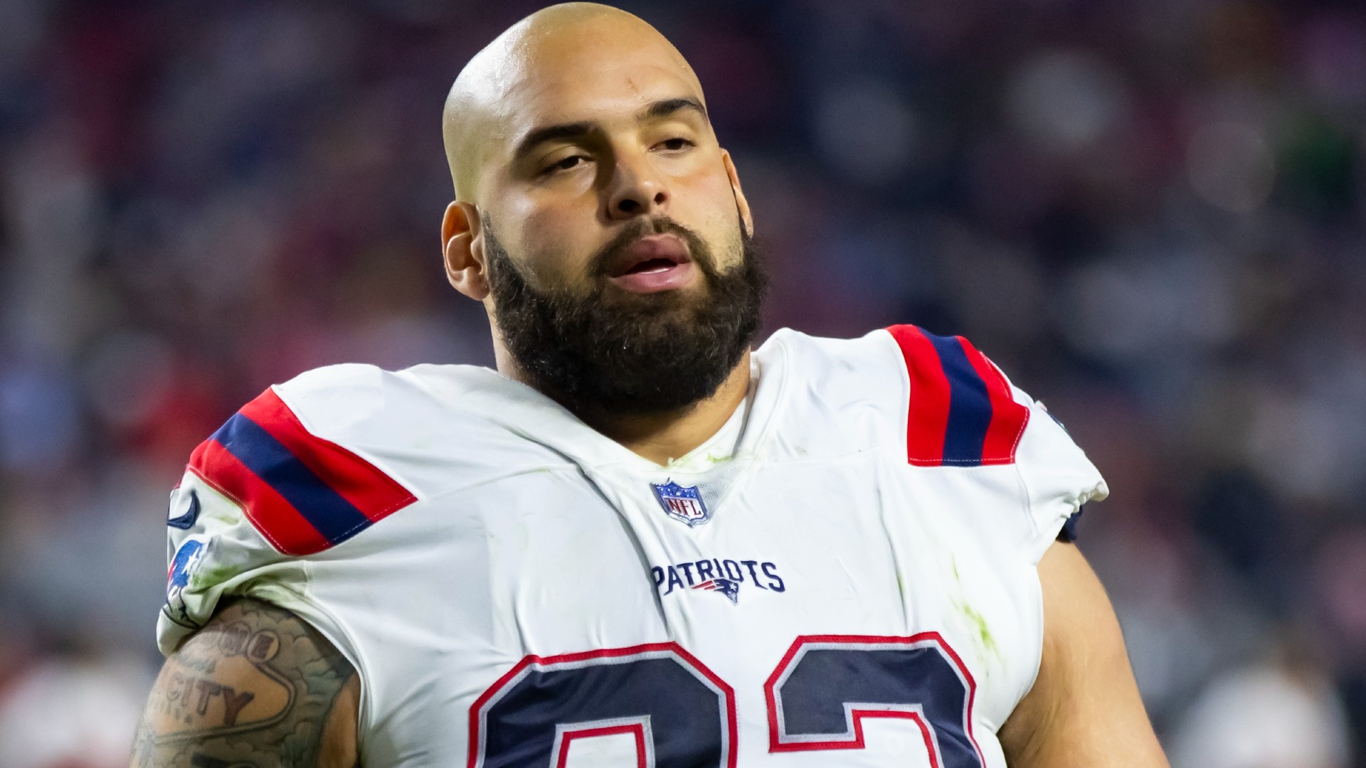 Patriots' Lawrence Guy on the field at training camp