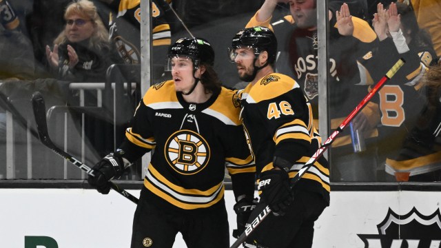 Boston Bruins forwards Tyler Bertuzzi and David Krejci