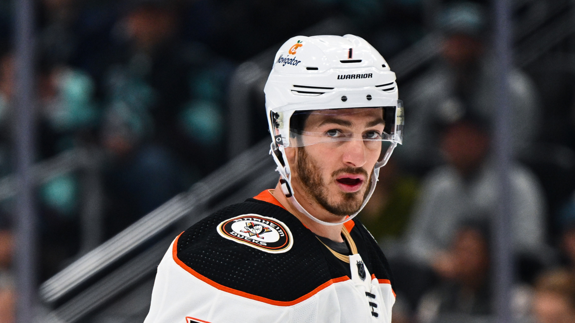 Bruins Announce Signings Of Two Intriguing Depth Pieces