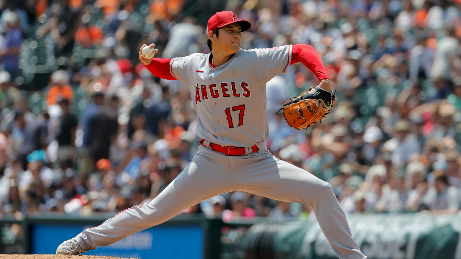 Angels Run Big Risks Opting To 'Roll The Dice' On Keeping Ohtani