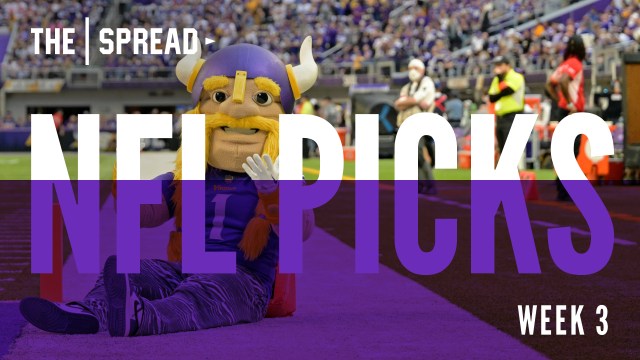 NFL Week 14 Picks: Vikings Unlikely Dogs; Can Tom Brady Do It Again?